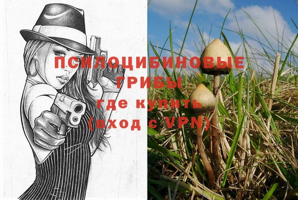 винт Михайловск