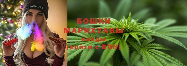 амф Медногорск