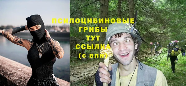 амф Медногорск