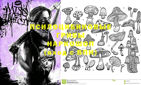 стаф Михайлов