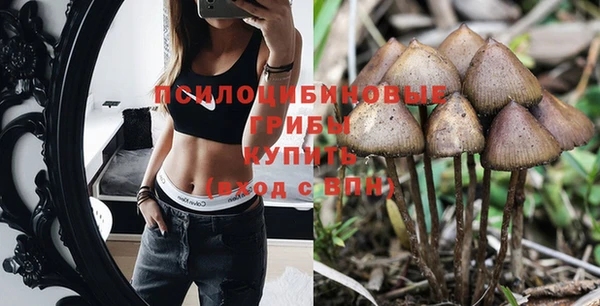 стаф Михайлов