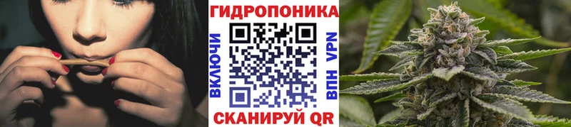 Каннабис планчик Невельск